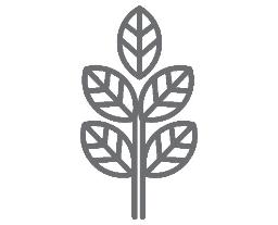 Garden icon by prasong tadoungsorn from the Noun Project