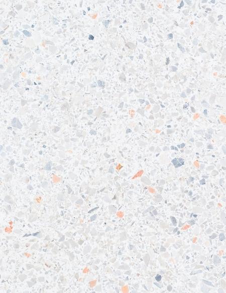 Unprotected Terrazzo Floor