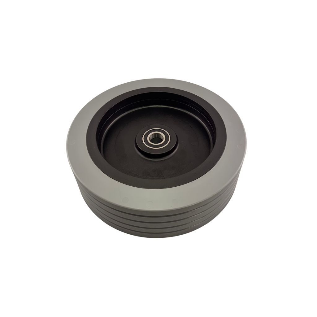 Rear Wheel w/ Bearings (6205)