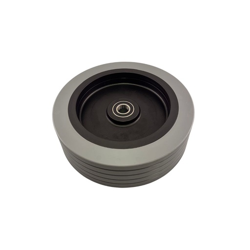 [56382693] Rear Wheel w/ Bearings (6205)